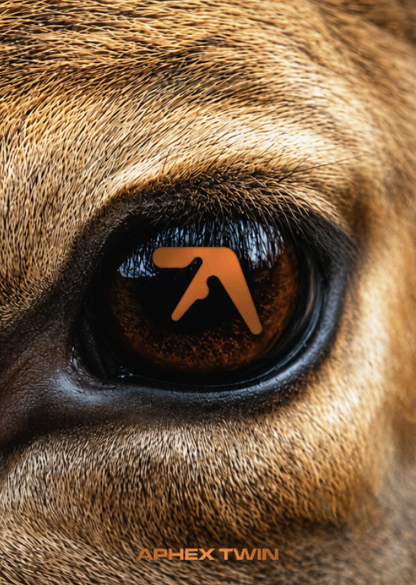 APHEX TWIN - DEER - Symbios Design Rare Glossy Poster Print