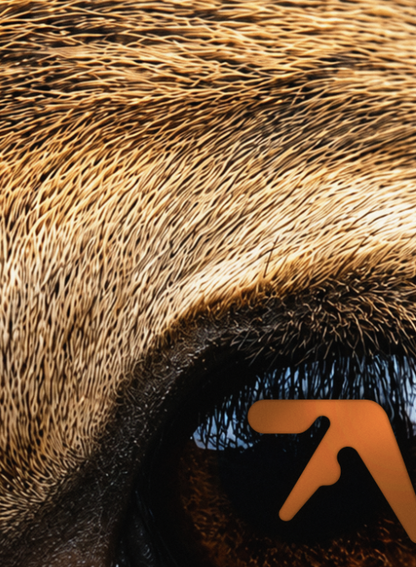 APHEX TWIN - DEER - Symbios Design Rare Glossy Poster Print