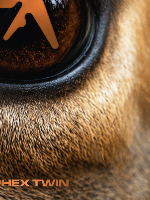 APHEX TWIN - DEER - Symbios Design Rare Glossy Poster Print