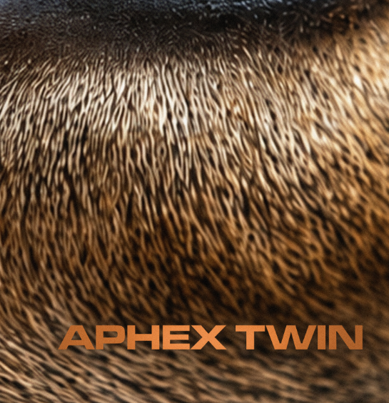 APHEX TWIN - DEER - Symbios Design Rare Glossy Poster Print