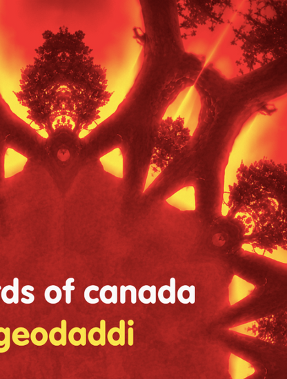 BOARDS OF CANADA - GEODADDI -  Symbios Design Rare Glossy Poster Print