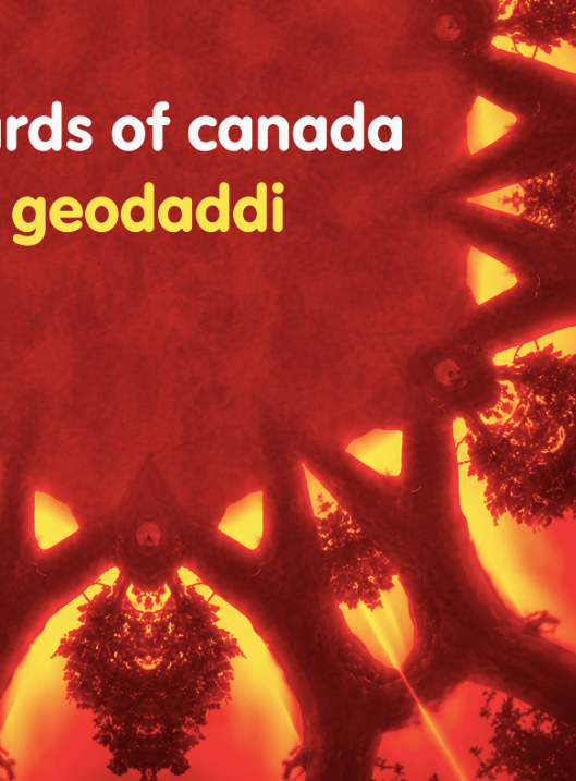 BOARDS OF CANADA - GEODADDI -  Symbios Design Rare Glossy Poster Print