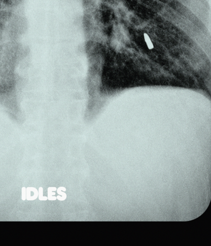 IDLES - CAUGHT STEALING - Symbios Design Rare Glossy Poster Print
