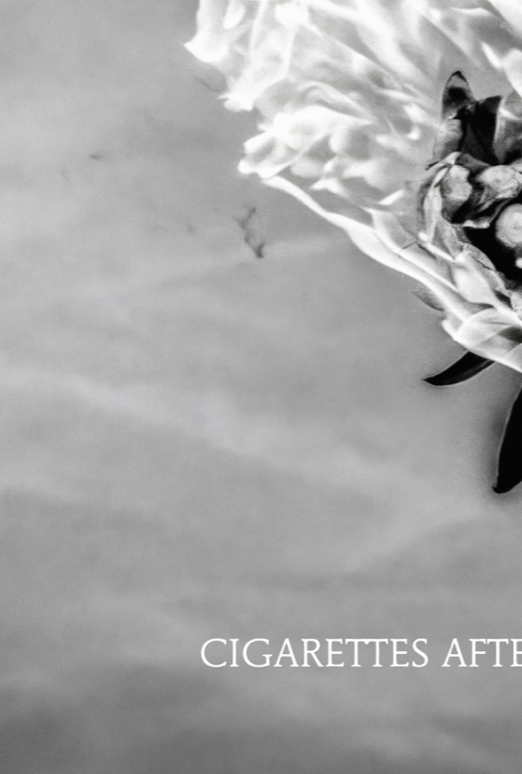 CIGARETTES AFTER SEX - BURNING ROSE - Symbios Design Rare Glossy Poster Print