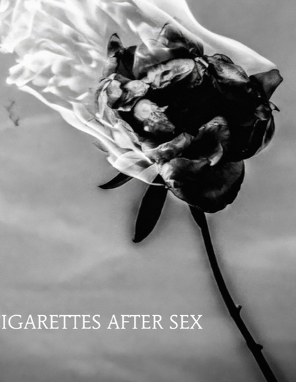 CIGARETTES AFTER SEX - BURNING ROSE - Symbios Design Rare Glossy Poster Print