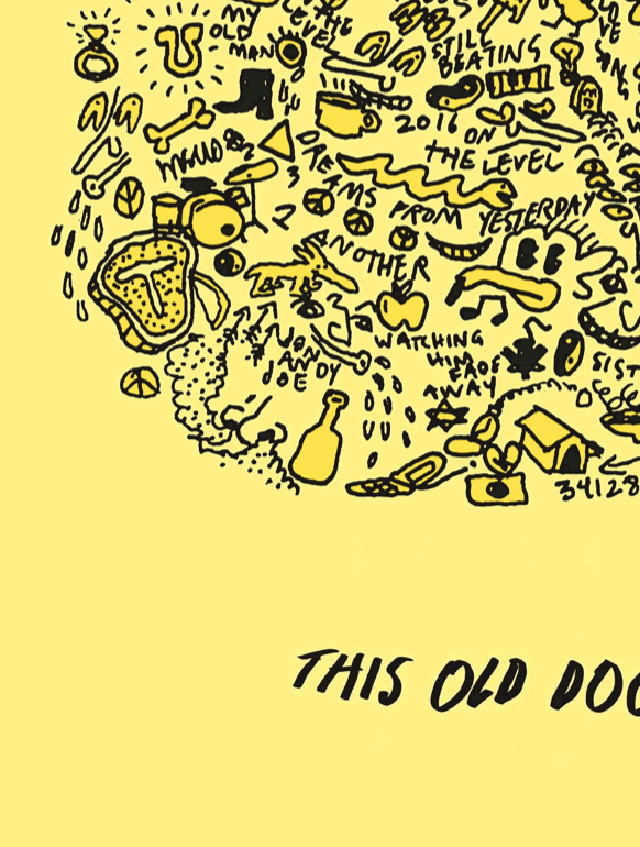 MAC DEMARCO - THIS OLD DOG - Symbios Design Rare Glossy Poster Print