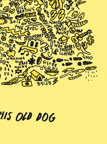 MAC DEMARCO - THIS OLD DOG - Symbios Design Rare Glossy Poster Print