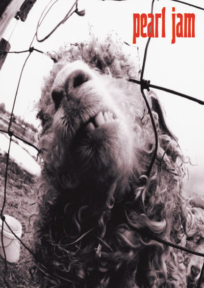 PEARL JAM - VS - Symbios Design Rare Glossy Poster Print