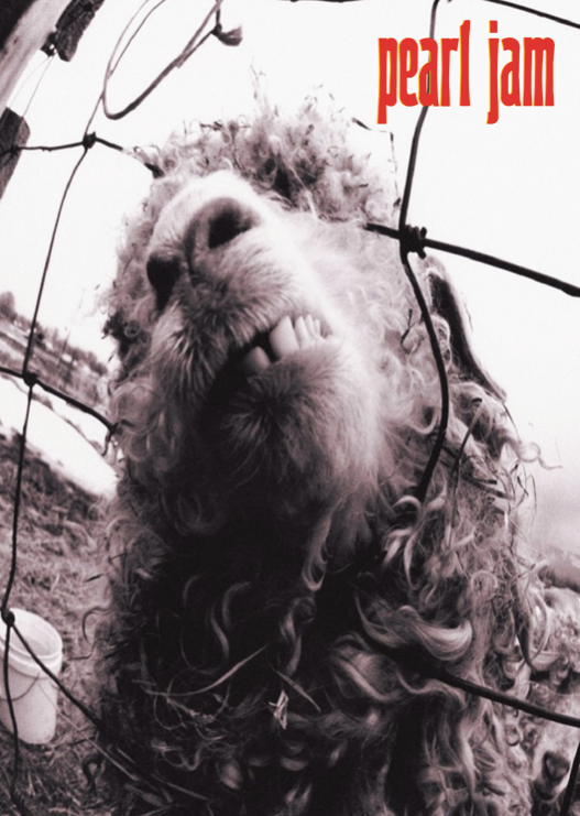 PEARL JAM - VS - Symbios Design Rare Glossy Poster Print