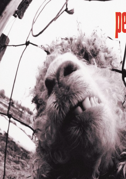 PEARL JAM - VS - Symbios Design Rare Glossy Poster Print
