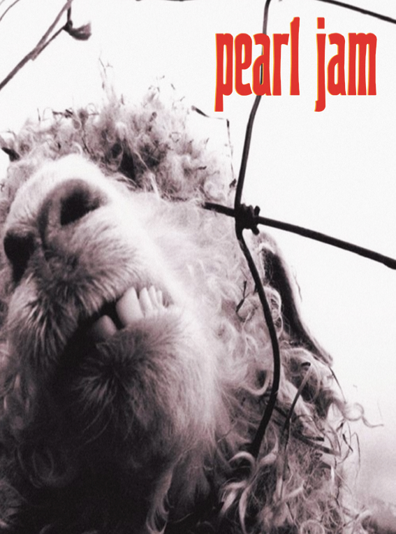 PEARL JAM - VS - Symbios Design Rare Glossy Poster Print