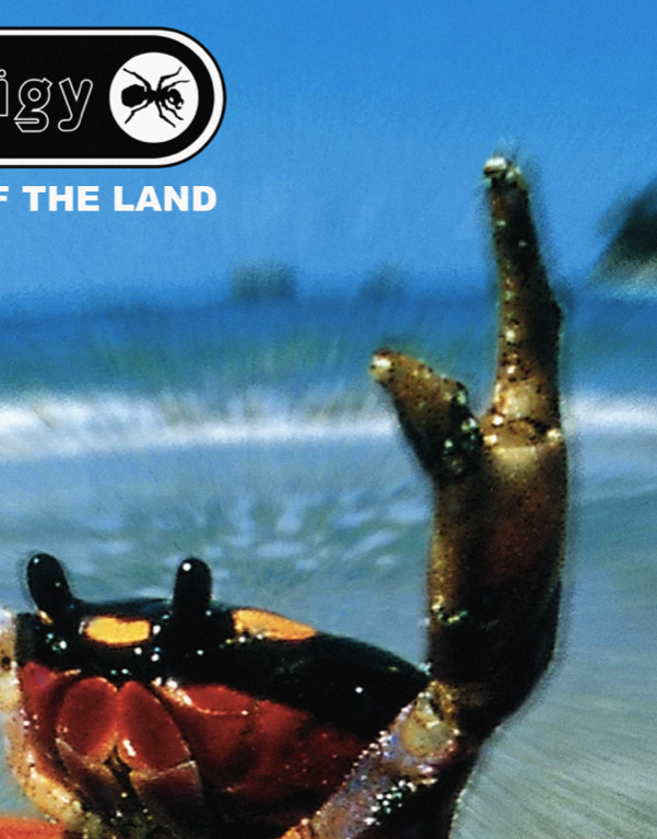 THE PRODIGY - FAT OF THE LAND - Symbios Design Rare Glossy Poster Print
