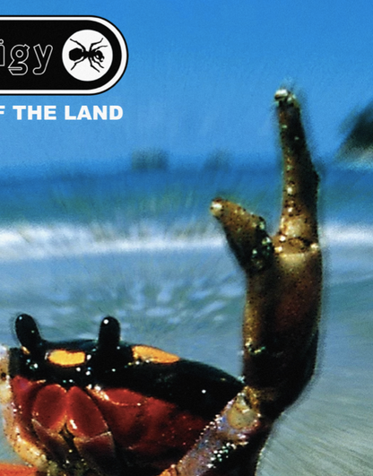 THE PRODIGY - FAT OF THE LAND - Symbios Design Rare Glossy Poster Print