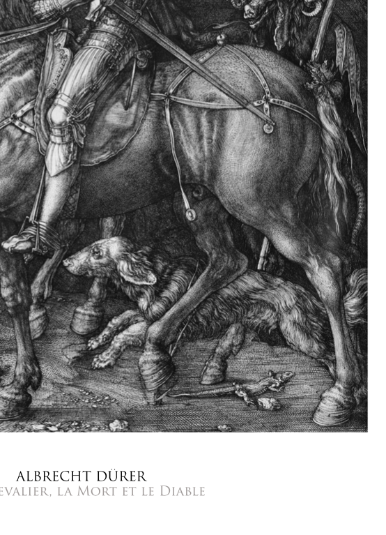 ALBRECHT DURER - Symbios Design Rare Glossy Poster Print