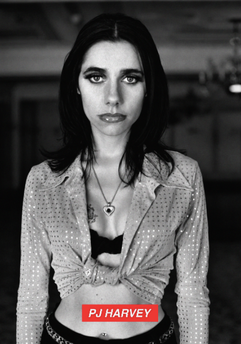 PJ HARVEY - 90'S  - Symbios Design Rare Glossy Poster Print