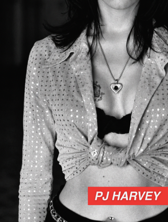 PJ HARVEY - 90'S  - Symbios Design Rare Glossy Poster Print