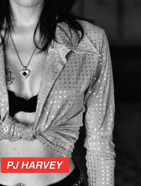 PJ HARVEY - 90'S  - Symbios Design Rare Glossy Poster Print