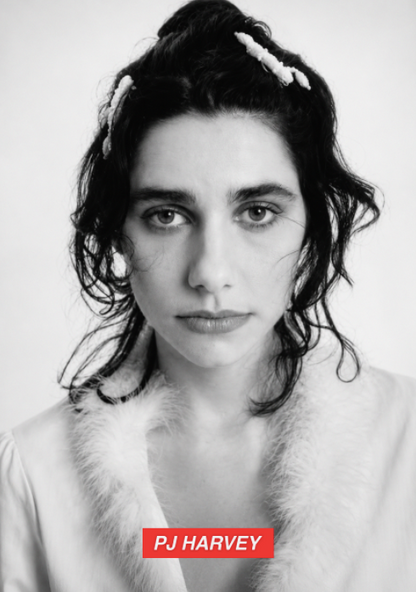 PJ HARVEY - 90'S  - Symbios Design Rare Glossy Poster Print