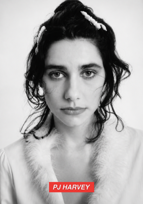 PJ HARVEY - 90'S  - Symbios Design Rare Glossy Poster Print