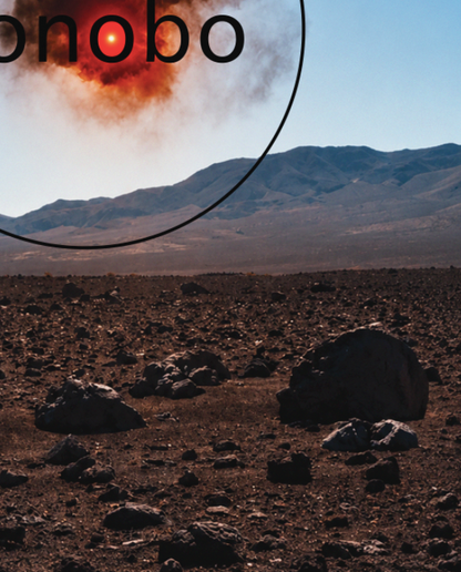 BONOBO  - Symbios Design Rare Glossy Poster Print