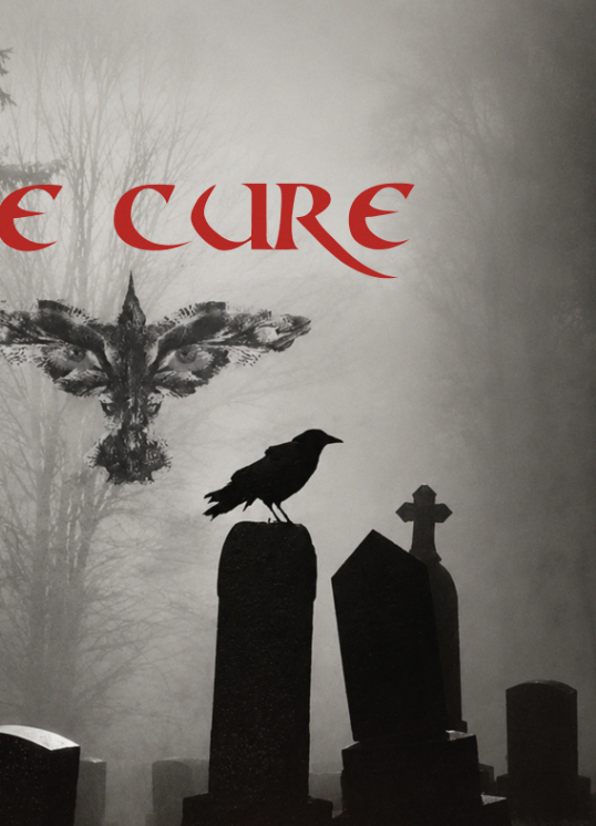 THE CURE - BURN  - Symbios Design Rare Glossy Poster Print