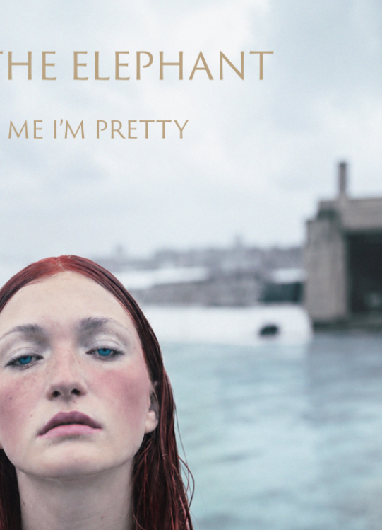 CAGE THE ELEPHANT - TELL ME I'M PRETTY - Symbios Design Rare Glossy Poster Print