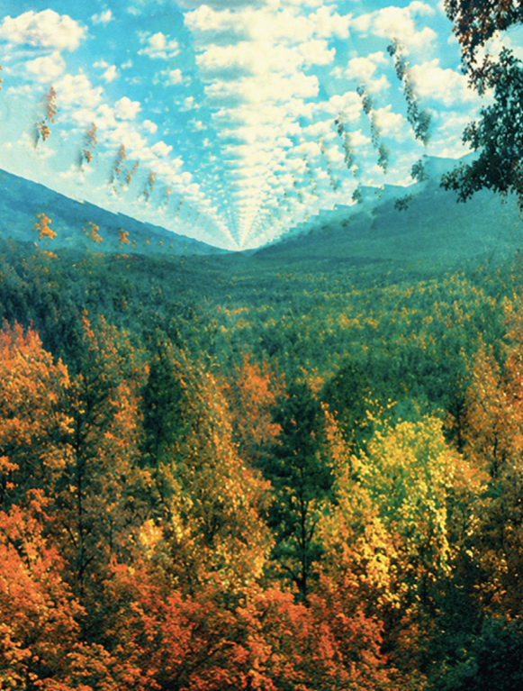 TAME IMPALA - INNERSPEAKER - Symbios Design Rare Glossy Poster Print