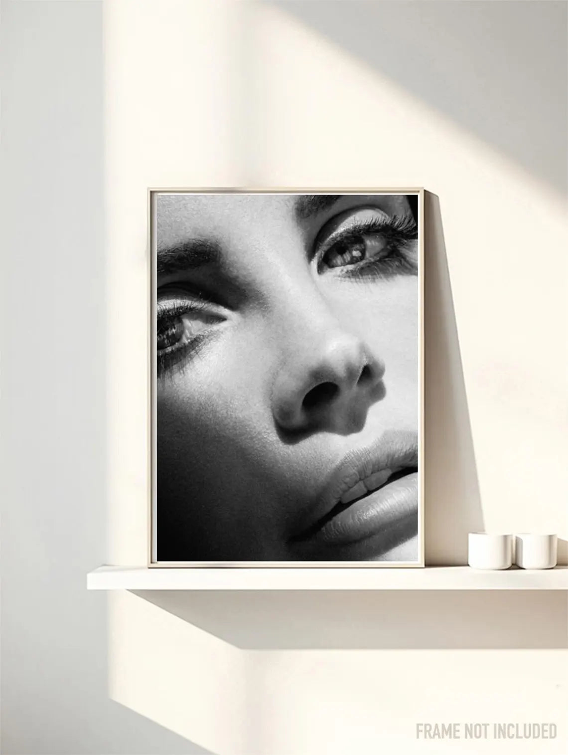 LANA DEL REY - Symbios Design Rare Glossy Poster Print