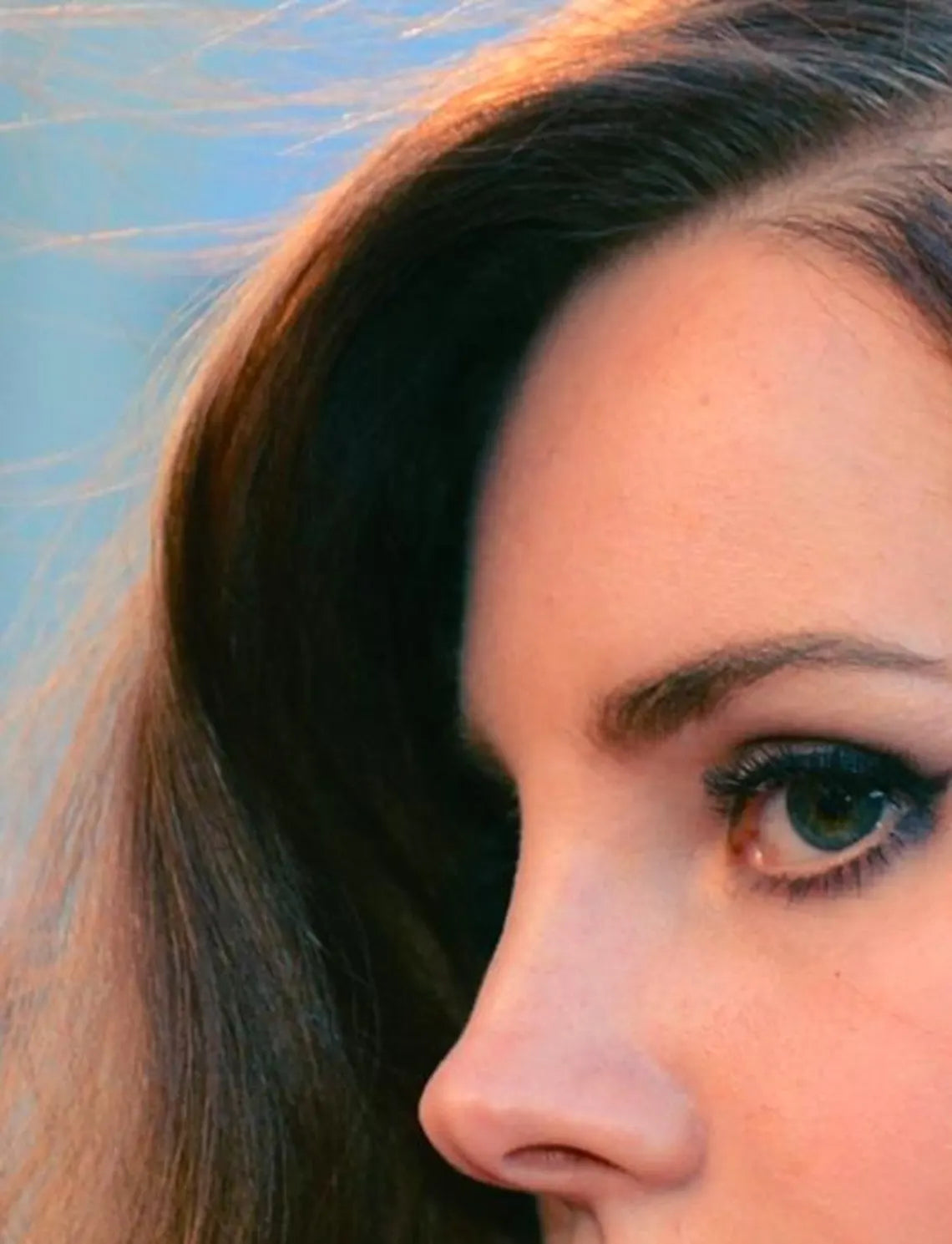 LANA DEL REY - Symbios Design Rare Glossy Poster Print