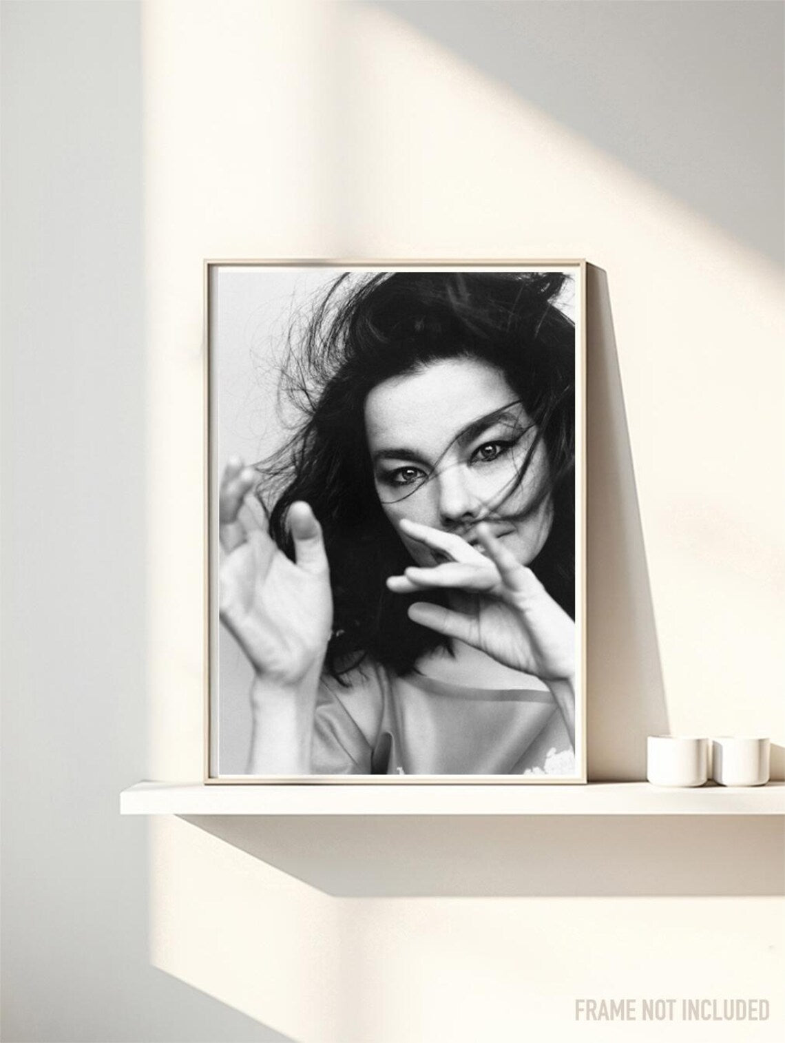 BJORK - PORTRAIT  - Symbios Design Rare Glossy Poster Print