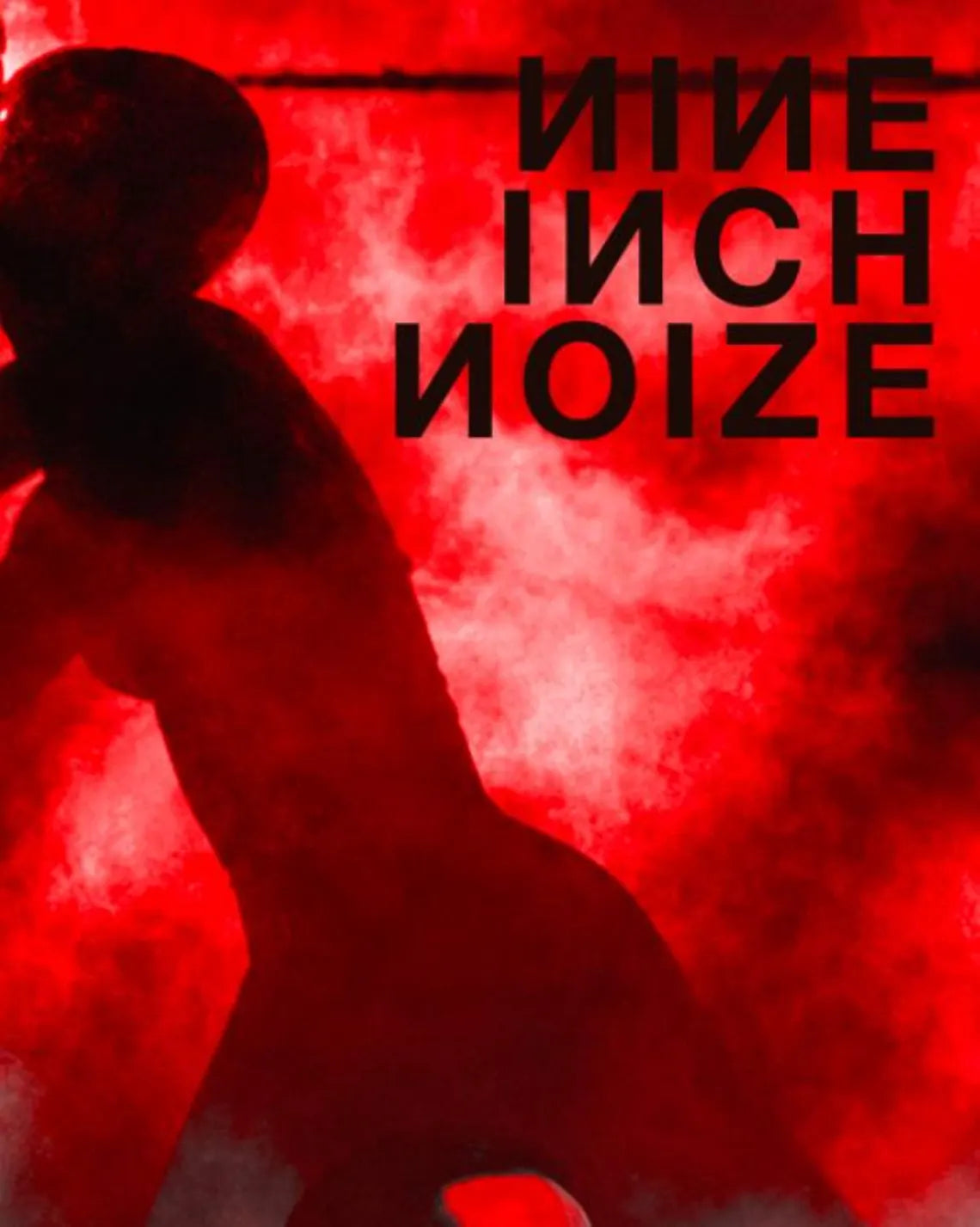 NINE INCH NOIZE - Symbios Design Rare Glossy Poster Print