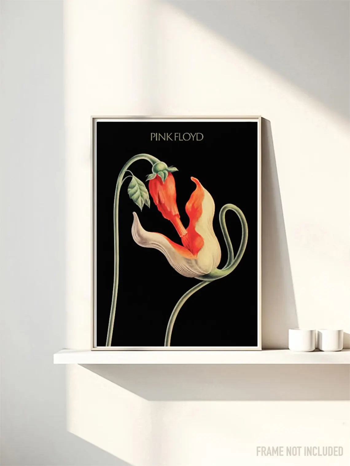 PINK FLOYD IV - Symbios Design Rare Glossy Poster Print