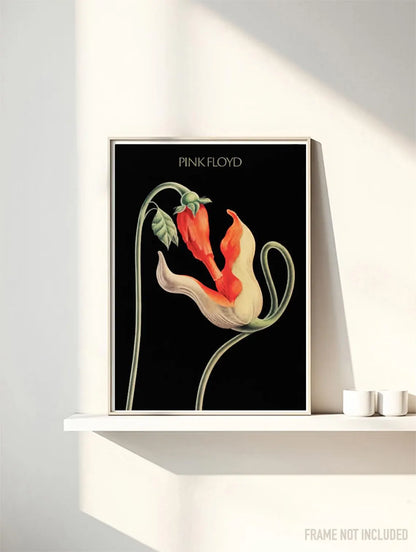 PINK FLOYD IV - Symbios Design Rare Glossy Poster Print