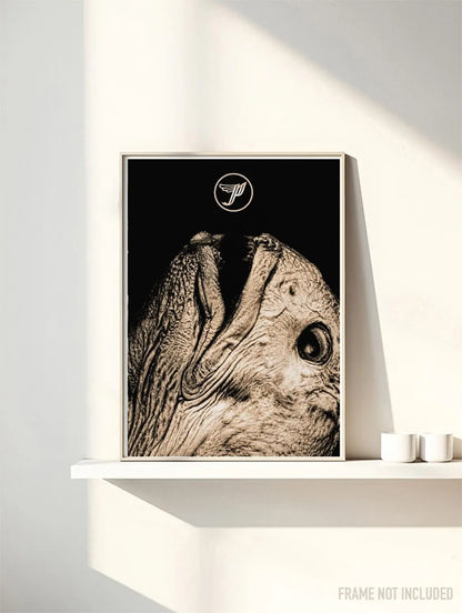THE PIXIES III - Symbios Design Rare Glossy Poster Print