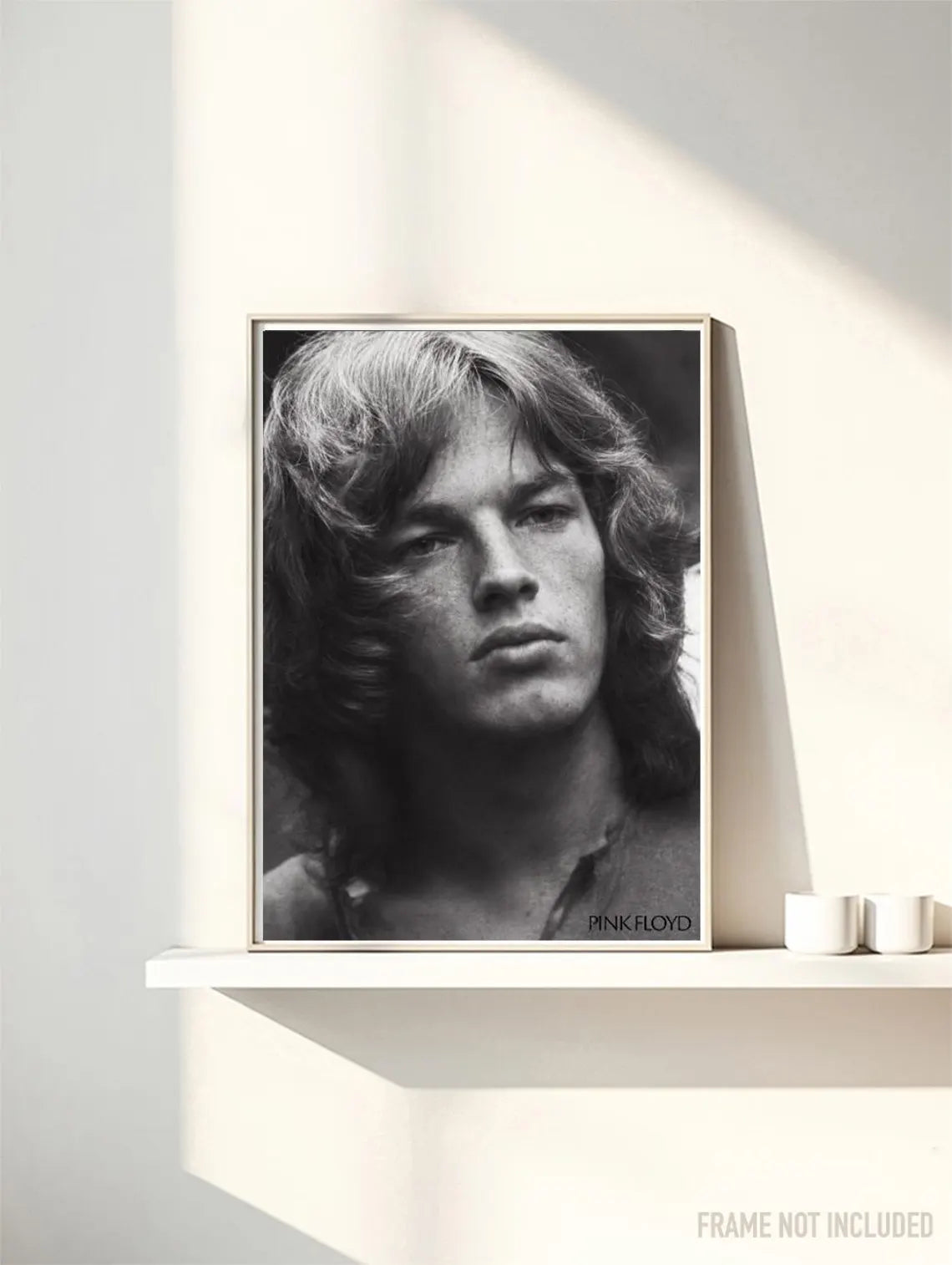 PINK FLOYD VI - Symbios Design Rare Glossy Poster Print
