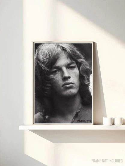 PINK FLOYD VI - Symbios Design Rare Glossy Poster Print