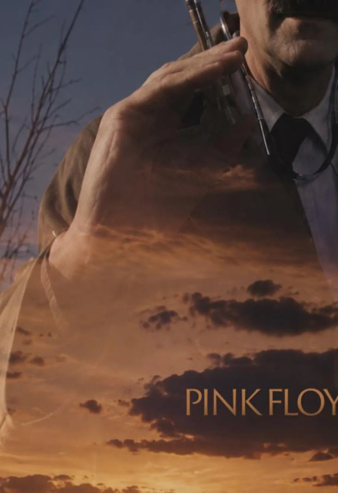 PINK FLOYD V - Symbios Design Rare Glossy Poster Print