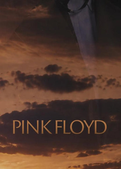PINK FLOYD V - Symbios Design Rare Glossy Poster Print