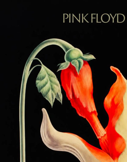 PINK FLOYD IV - Symbios Design Rare Glossy Poster Print