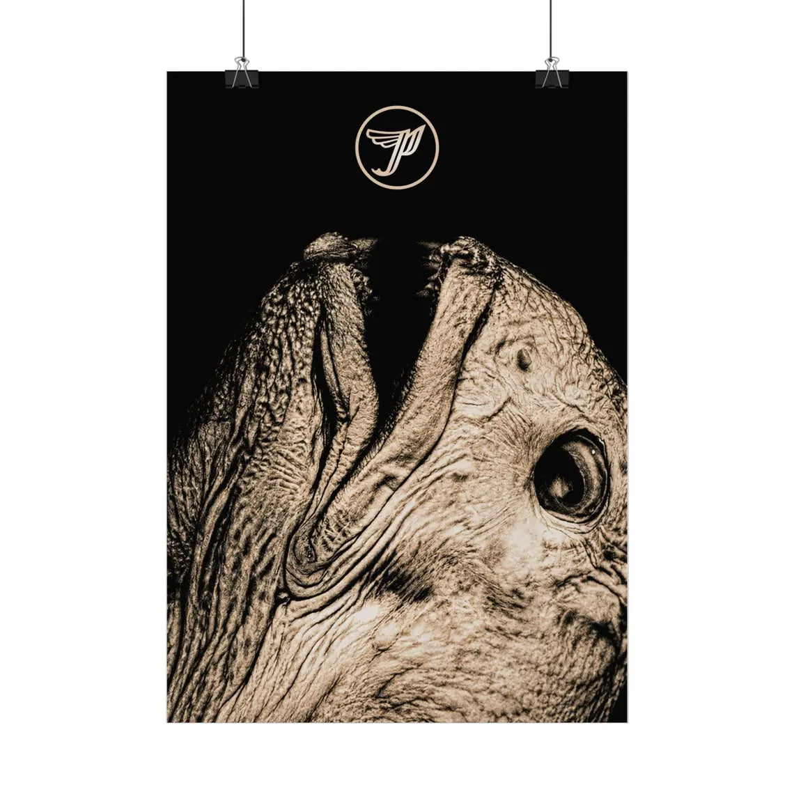 THE PIXIES III - Symbios Design Rare Glossy Poster Print