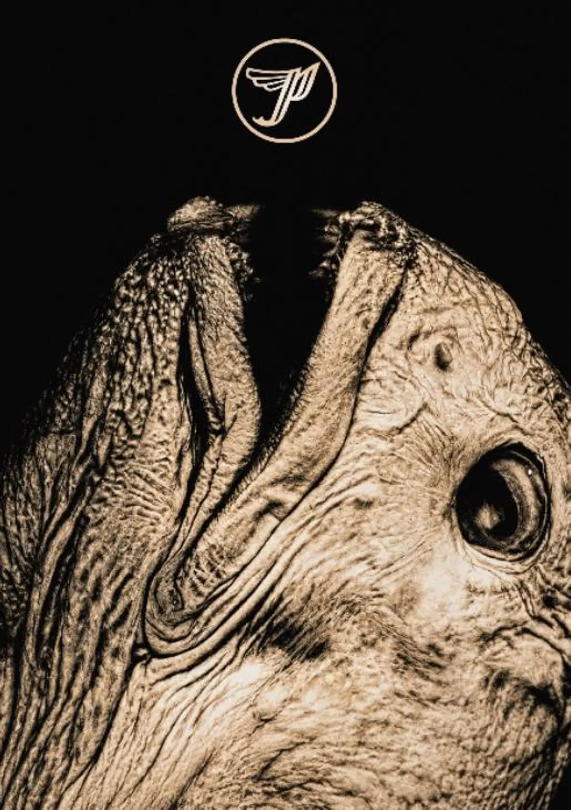 THE PIXIES III - Symbios Design Rare Glossy Poster Print