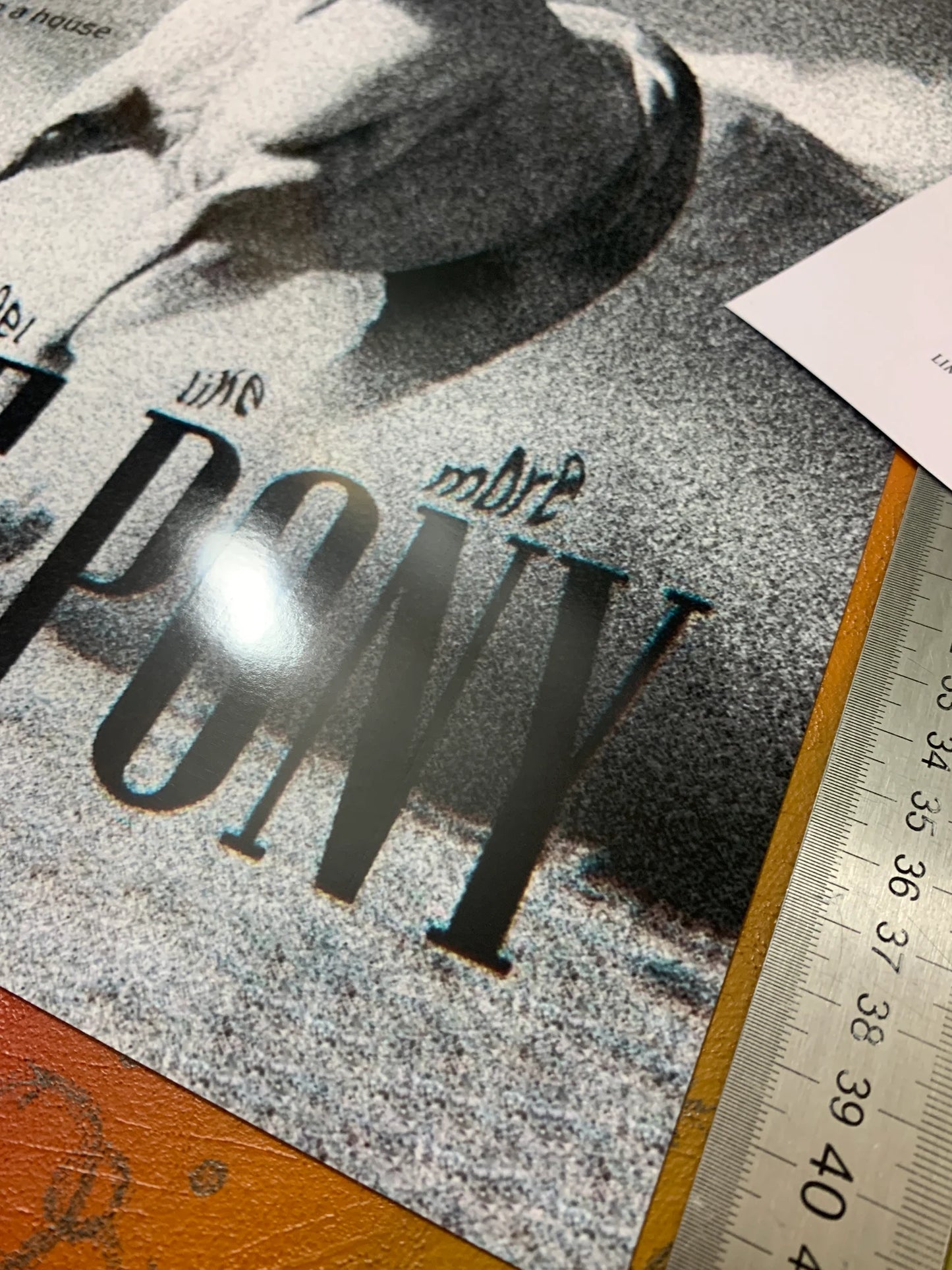 DEFTONES - WHITE PONEY - Symbios Design - Rare Glossy Print