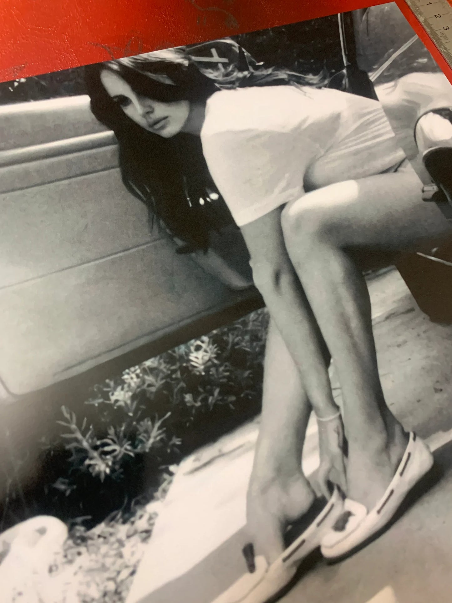 LANA DEL REY - ULTRAVIOLENCE - Symbios Design - Rare Glossy Print