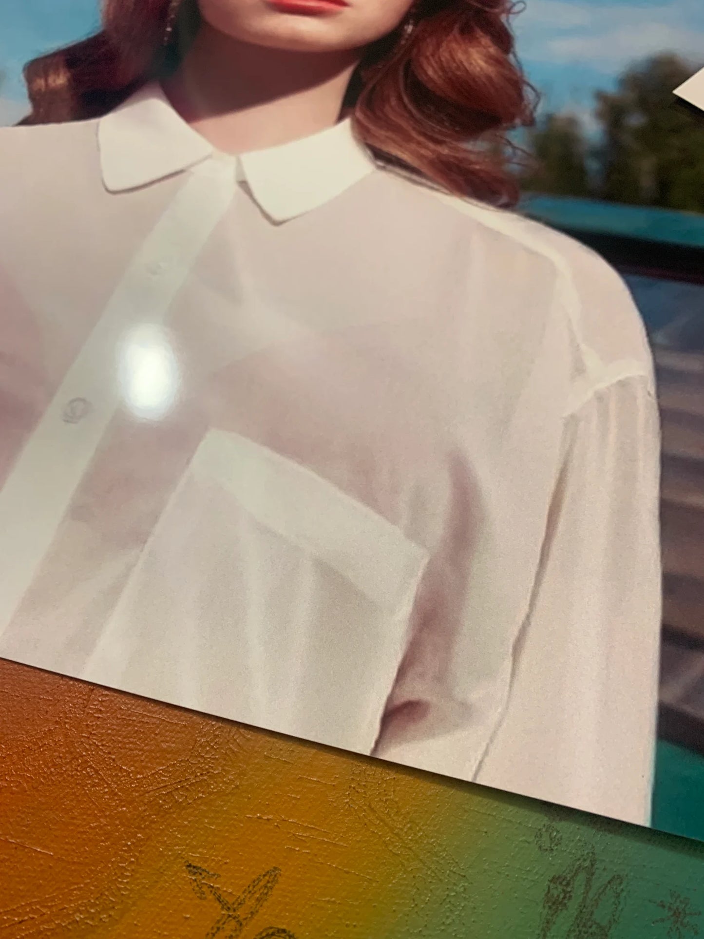 LANA DEL REY - BORN TO DIE - Symbios Design - Rare Glossy Print