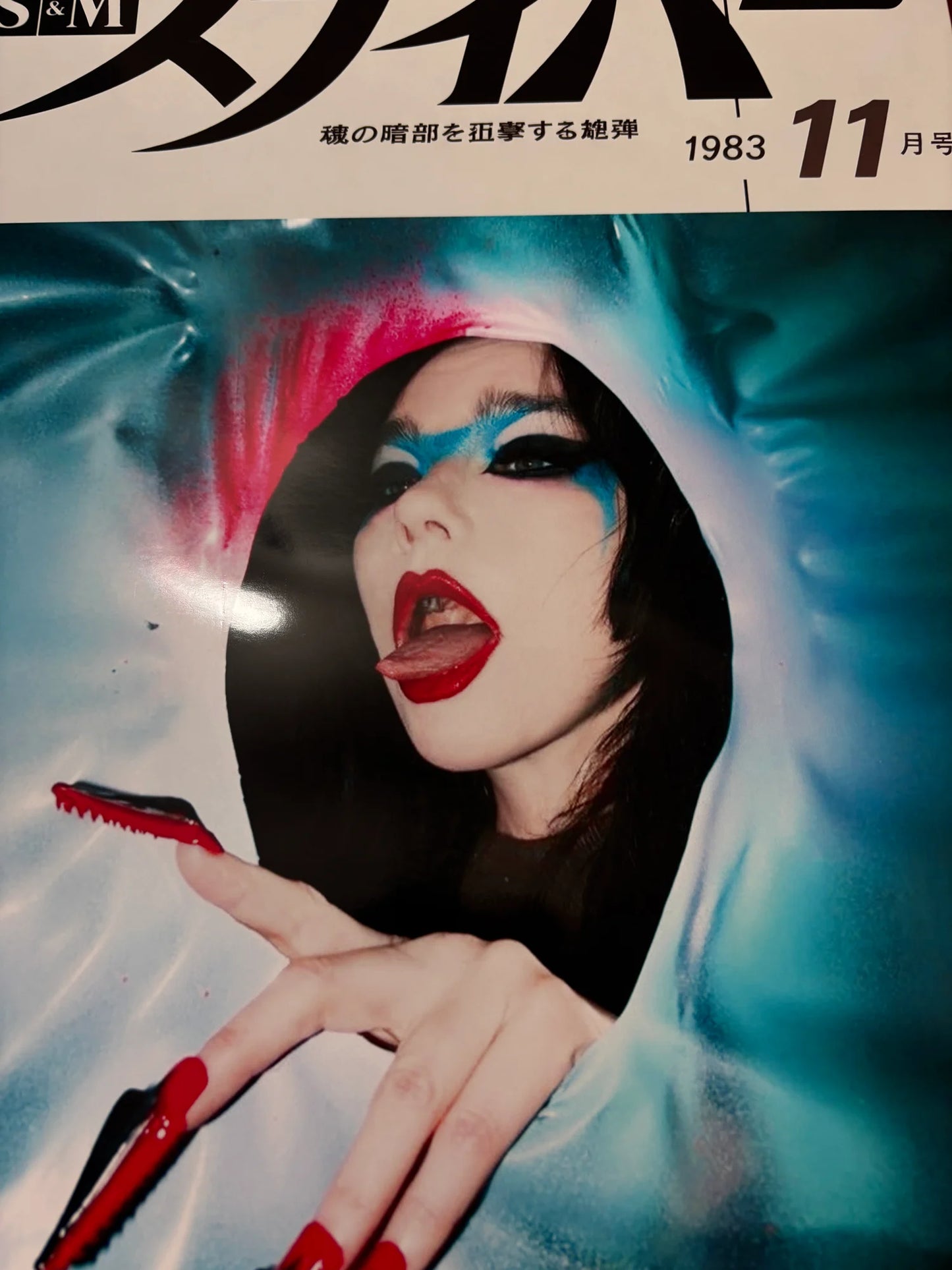 SNIPER - BJORK - Symbios Design - Rare Glossy Print