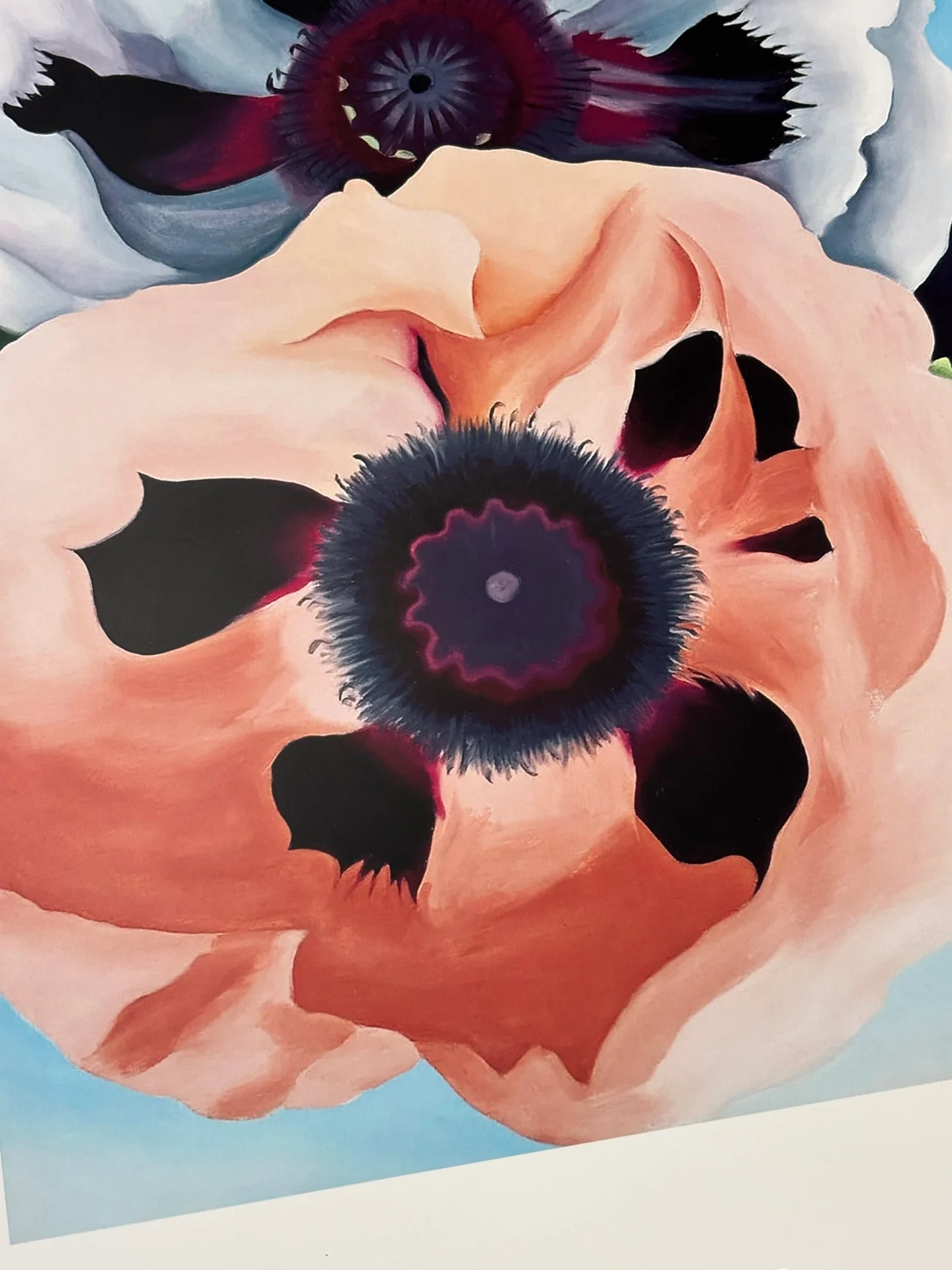 GEORGIA O'KEEFFE - POPPIES - Symbios Design - Rare Glossy Print