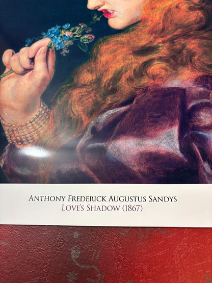 SANDY'S - LOVES SHADOW - Symbios Design - Rare Glossy Print